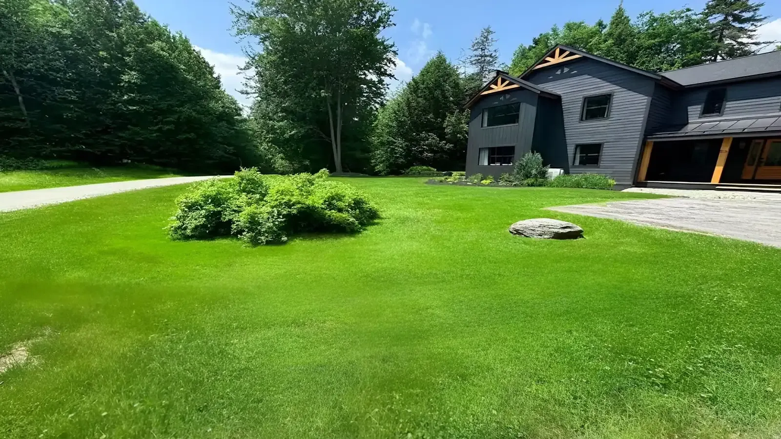 A wide mown lawn with a single round shrub in front of a dark-clad modern house with a gabled roof and a gravel drive.